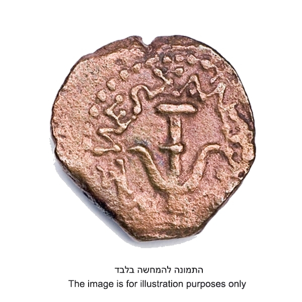 Ancient Coin Widows Mite