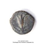 Jerusalem Lily Coin